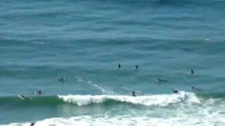 Laguna Beach, California (24.2.2011) - surfaři
