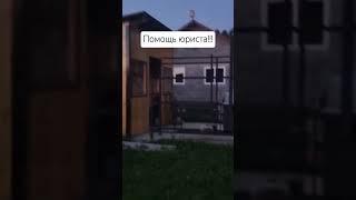 Нужна ПОМОЩЬ ЮРИСТА! Шашлык делает сосед. #music #diy