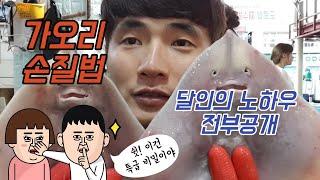 간재미(가오리)회 손질달인의 손질방법 교과서. / Textbook on how to cut Red stingray / Red stingray trimming /