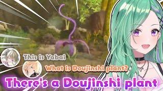 VSPO Girls found an "Interesting" Plant on ARK [Vspo ENG Sub - Yakumo Beni]