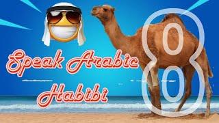 Learn Arabic for beginners | enrich your vocabulary and conversation skills