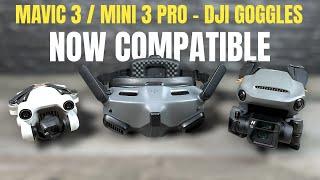 DJI Goggles 2 / Integra Now Compatible With Mini 3 Pro & Mavic 3 Series - How To Connect