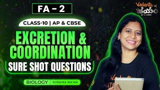 Sure shot QUESTIONS| FA-2 | Excretion & Coordination | Class 10 in Telugu | Sunaina ma'am