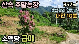 (매물번호14113) 4500만원 금산부동산 357㎡(108) 금산땅 금산토지매매매물 시골땅 촌땅 농막 텃밭 소액 산속 주말농장 싼땅 급매 대전토지 대전부동산 청주땅 옥천땅 보은땅