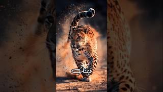 كيف تضع حدًا لمن يقلل من قيمتك؟
