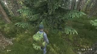 DayZ v1.20 Improvised shelter hidden in pine tree. #DayZ Stealth camping. Xbox S.