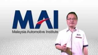 Skills Development and Human Capital Management in the Malaysian Auto Industry