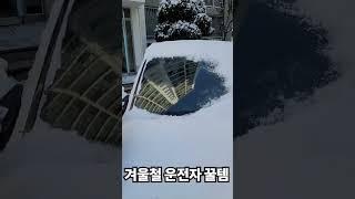 눈오는 겨울철 꿀템 #눈치우기 #차량용품 #꿀템추천