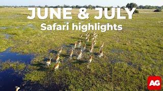 Here’s what you can expect from your June-July safari.