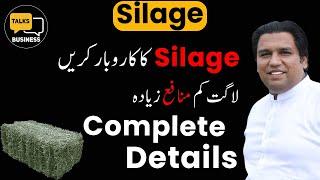 How to Start a Profitable Silage Business in Pakistan - Complete Step-by-Step Guide for Beginners!!!