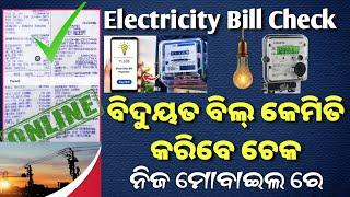 Electricity Bill Check Online//How to Check Bidyut Bill Online//Bidyut Bill Pay Online  Check Online
