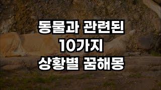 절대 무시해서는 안되는 10가지 동물과 관련된 꿈 해몽