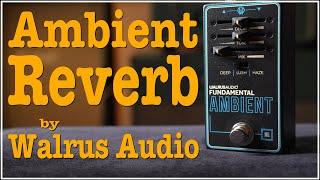 Walrus Audio Ambient Reverb - EP377