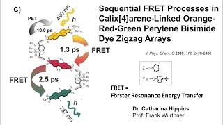 Photoinduced Energy Transfer, Re-Edit, René M. Williams, UvA. Förster and Dexter mechanims. FRET.