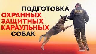 Основы подготовки охранных, защитных и караульных собак. The basics of service dog training.