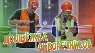 ДОЛБЁЖКА СКВОРЕЧНИКОВ | СТРИМ MODESTAL | МОНТАЖ