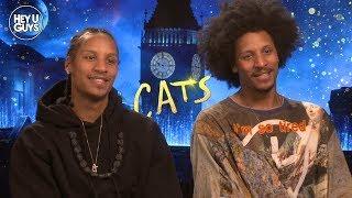 Laurent Bourgeois & Larry Bourgeois Interview - Cats