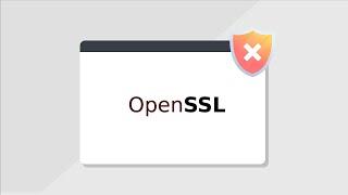 OpenSSL Fixes Two Severe RCE Vulnerabilities |  CVE-2022-3602 |  CVE-2022-3786