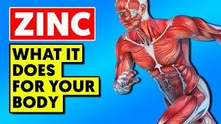 This Is What Zinc Does To Your Body and What to Eat for More