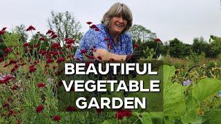 Early summer in the Vegetable Garden | Beautiful Food Growing