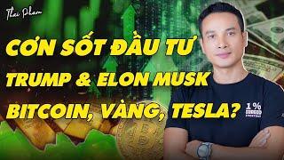 CƠN SỐT, FEVER, ĐẦU TƯ THEO ÔNG TRUMP VÀ ELON MUSK KHI NÀO KẾT THÚC? CỔ PHIẾU TESLA, BITCOIN, VÀNG?