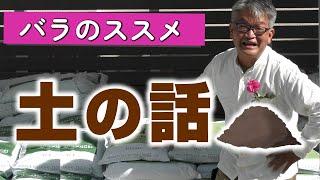 【バラのススメ】「土」の話。（2022年10月21日）