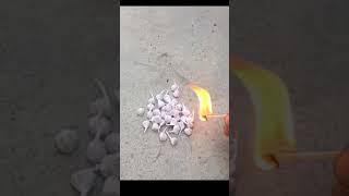 diwali experiment | mr Indian hacker | experiment #shorts