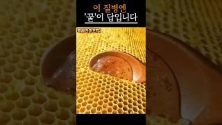 하루 한 스푼 꿀, 병이 사라집니다｜#꿀의효능 #시니어건강