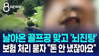 날아온 골프공 맞고 '뇌진탕'…보험 처리 묻자 "돈 안 냈잖아요" / SBS 8뉴스