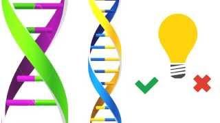 What is Genetic Engineering?