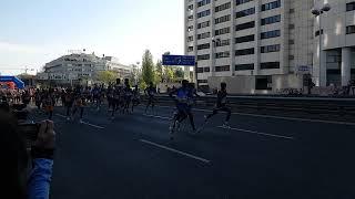 Start 40. Vienna City Marathon - 2023