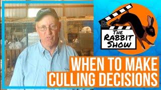 When to Make Culling Decisions by Mike Avesing, Former ARBA President, Judge and Breeder