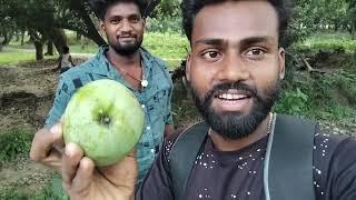 My New Vlog Warisnagar