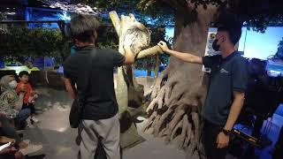 Jakarta Aquarium Safari in Neo Soho Mall