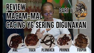 Review Macam-macam Cacing yang sering digunakan untuk mancing para Angler | Part 1