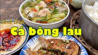 Canh chua nấu CÁ BÔNG LAU, cơm ngon quê mẹ con quên sao đành| Đặc sản miền sông nước