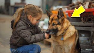 Little Girl Finds Terrified Dog At Market, Then Makes EVERYONE Cry When THIS Happens!