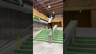 Extra crispy Switch FS Nose Grind by Hozumi Kai in Japan! - Willy Santos #willysworkshop