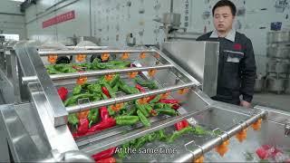 Fresh Fruits and Vegetables Process Euiqments Factory