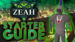 Zeah RSPS *BEST STARTER GUIDE* : HUGE Tips And Tricks! ($50 GIVEAWAY!)