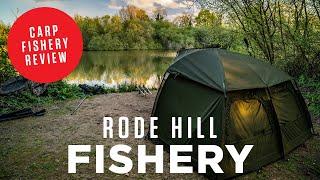 Rode Hill Fishery | Bath | Carp Fishery Review | Swimbooker App