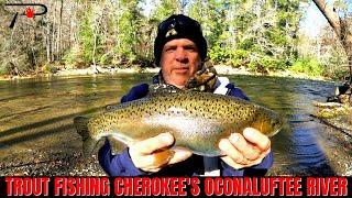 Trout Fishing Cherokee's Oconaluftee River