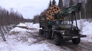Закончил сезон 2024-25 года. Урал лесовоз.