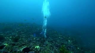 Seahorse Reef, Perth