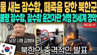 [해외감동사연] "물 새는 잠수함, 떼죽음 당한 북한군" 한국 때문에 북한 핵잠과 북한을 전 세계가 무시하는 이유는?