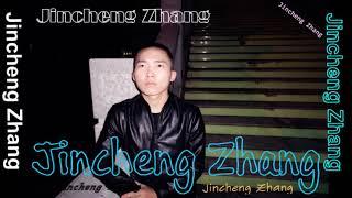 Jincheng Zhang - Tourist (Instrumental Version) (Background Music) (Official Audio)