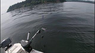 Early June Chinook Fishing, Puget Sound Area 11