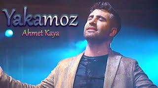 Seccad Mehmedi | Yakamoz (Ahmet Kaya) | Canlı | 2021