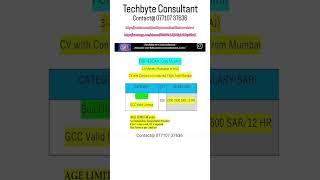Techbyte Consultant