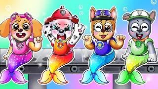 Paw Patrol Brewing Cute Baby But They Are Mermaid?  - Happy Life Story - Paw Patrol Ultimate Rescue
